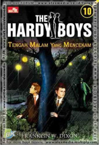 Image of The Hardyboys